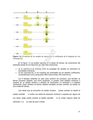 27
Figura 1.4: Evolución de los estados de transmisión y confluentes de la máquina de von
Neumann [3]
En la figura 1.4 se pueden apreciar en 6 pasos de tiempo, las evoluciones del
autómata celular de von Neumann en diferentes situaciones:
• en la columna a se muestra cómo se propagan las señales de activación en
actividades ordinarias,
• en las columnas b y c se muestran las actividades de los estados confluentes,
comportándose como compuertas AND (columna b) y OR (columna c).
Los 8 estados restantes se usan para construir los procesos, que también se
llaman procesos dirigidos, que como excepción, sí pueden crear estados recesivos o
cambiar de un estado recesivo a estados de transmisión no activados o a estados
confluentes. Estos estados se llaman estados sensibles aunque cambian de estado en
una unidad de tiempo.
Una célula que se encuentre en estado recesivo puede cambiar su estado al
estado sensible si recibe una señal de activación ordinaria o especial por alguno de
sus lados, luego puede cambiar al estado sensible si no recibe ninguna señal de
activación, o a en caso de que sí reciba.
 