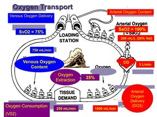 Oxygen Transport
5 L/min
CO
Venous Oxygen Delivery
SvO2 = 75%
Oxygen Consumption
(V02)
250 mL/min 1000 mL/min
Arterial
Oxy...