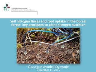 Soil	nitrogen	ﬂuxes	and	root	uptake	in	the	boreal	
forest:	key	processes	to	plant	nitrogen	nutri9on	
Olusegun	Ayodeji	Oyewole	
December	11,	2015	
 