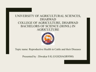 UNIVERSITY OF AGRICULTURAL SCIENCES,
DHARWAD
COLLEGE OF AGRICULTURE, DHARWAD
BACHELORS OF SCIENCE (HONS.) IN
AGRICULTURE
Topic name: Reproductive Health in Cattle and their Diseases
Presented by : Diwakar S K (UGS20AGR9580)
 