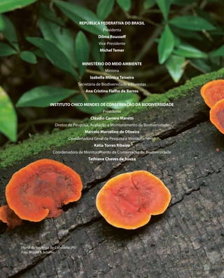 Flona da Restinga de Cabedelo (PB)
Foto: Wigold B. Schäffer
REPÚBLICA FEDERATIVA DO BRASIL
Presidenta
Dilma Rousseff
Vice-Presidente
Michel Temer
MINISTÉRIO DO MEIO AMBIENTE
Ministra
Izabella Mônica Teixeira
Secretária de Biodiversidade e Florestas
Ana Cristina Fialho de Barros
INSTITUTO CHICO MENDES DE CONSERVAÇÃO DA BIODIVERSIDADE
Presidente
Cláudio Carrera Maretti
Diretor de Pesquisa, Avaliação e Monitoramento da Biodiversidade
Marcelo Marcelino de Oliveira
Coordenadora Geral de Pesquisa e Monitoramento
Kátia Torres Ribeiro
Coordenadora de Monitoramento da Conservação da Biodiversidade
Tathiana Chaves de Souza
 