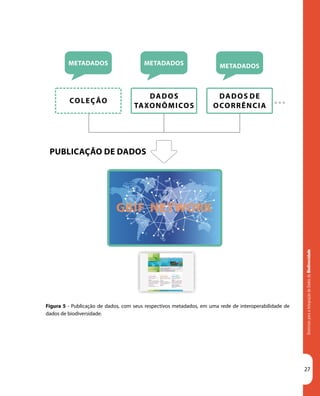 DiretrizesparaaIntegraçãodeDadosdeBiodiversidade
27
Figura 5 - Publicação de dados, com seus respectivos metadados, em uma rede de interoperabilidade de
dados de biodiversidade.
 
