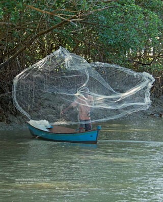 76
DiretrizesparaaIntegraçãodeDadosdeBiodiversidade
Reserva Extrativista de Cassurubá (BA)
Foto: Wigold B. Schäffer
 