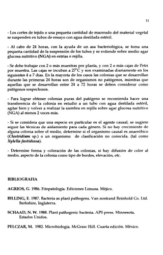 11
- Los cortes de tejido o una pequeña cantidad de macerado del material vegetal
se suspenden en tubos de ensayo con agua destilada estéril.
- Al cabo de 24 horas, con la ayuda de un asa bacteriológica, se toma una
pequeña cantidad de la suspensión de los tubos y se extiende sobre medio agar
glucosa nutritivo (NGA) en estrías o rejilla.
- Se debe trabajar con 2 o más muestras por planta, y con 2 o más cajas de Petri
por muestra. Las cajas se incuban a 27"C y son examinadas diariamente en los
siguientes 4 a 7 días. En la mayoría de los casos las colonias que se desarrollan
durante las primeras 24 horas son de organismos no patógenos, mientras que
aquellas que se desarrollan entre 24 a 72 horas se deben considerar como
patógenos sospechosos.
- Para lograr obtener colonias puras del patógeno se recomienda hacer una
transferencia de la colonia en estudio a un tubo con agua destilada estéril,
agitar bien y volver a realizar la siembra en rejilla sobre agar glucosa nutritivo
(NGA) al menos 2 veces más.
- Si se considera que una especie en particular es el agente causal, se sugiere
seguir las técnicas de aislamiento para cada género. Si no hay crecimiento de
alguna colonia sobre el medio, determine si el organismo causal es anaeróbico
(Clostridium sp.) o un organismo de clasificación no conocida. (tal como
Xylella fastidiosa).
- Determine forma y coloración de las colonias, si hay difusión de color al
medio, aspecto de la colonia como tipo de bordes, elevación, etc.
BIBLIOGRAFIA
AGRIOS, G. 1986. Fitopatología. Ediciones Limusa. Méjico.
BILLING, E. 1987. Bacteria as plant pathogens. Van nostrand Reinhold Co. Ud.
Berkshire, Inglaterra.
SCHAAD, N. W. 1988. Plant pathogenic bacteria. APS press. Minnesota,
Estados Unidos.
PELCZAR, M. 1982. Microbiología. McGraw Hill. Cuarta edición. México.
 