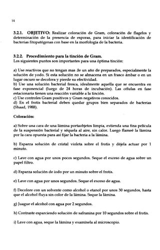 14
3.2.1. OBJETIVO: Realizar coloración de Gram, coloración de flagelos y
determinación de la presencia de esporas, para iniciar la identificación de
bacterias fitopatógenas con base en la morfología de la bacteria.
3.2.2. Procedimiento para la tinción de Gram.
Los siguientes puntos son importantes para una óptima tinción:
a) Use reactivos que no tengan mas de un año de preparados, especialmente la
solución de yodo. Si esta solución no se almacena en un frasco ámbar o en un
lugar oscuro se decolora y pierde su efectividad.
b) Use una solución bacterial fresca, idealmente aquella que se encuentra en
fase exponencial (luego de 24 horas de incubación). Las células en fase
estacionaria tienen una reacción variable a la tinción.
c) Use controles Gram positivos y Gram negativos conocidos.
d) En el frotis bacterial deben quedar grupos bien separados de bacterias
(Shaad, 1988).
Coloración:
a) Sobre una cara de una lámina portaobjetos limpia, extienda una fina película
de la suspensión bacterial y séquela al aire, sin calor. Luego flameé la lámina
por la cara opuesta para así fijar la bacteria a la lámina.
b) Esparza solución de cristal violeta sobre el frotis y déjela actuar por 1
minuto.
c) Lave con agua por unos pocos segundos. Seque el exceso de agua sobre un
papel filtro.
d) Esparza solución de iodo por un minuto sobre el frotis.
e) Lave con agua por unos segundos. Seque el exceso de agua.
f) Decolore con un solvente como alcohol o etanol por unos 30 segundos, hasta
que el alcohol fluya sin color de la lámina. Seque la lámina.
g) Juague el alcohol con agua por 2 segundos.
h) Contraste esparciendo solución de safranina por 10 segundos sobre el frotis.
i) Lave con agua, seque la lámina y examínela al microscopio.
 