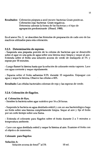 Resultados: Coloración púrpura a azul oscuro: bacterias Gram positivas.
Coloración roja: bacterias Gram negativas.
Determine además la forma de las bacterias y el tipo de
agrupación predominante (Shaad,1988).
15
En el anexo No. 2, se describen las fórmulas de preparación de cada uno de los
reactivos utilizados para esta coloración.
3.2.3. Determinación de esporas.
- Suspenda una pequeña porción de la colonia de bacterias que se desarrolló
sobre el agar en una gota de agua sobre una lámina muy limpia y seque al aire.
Extienda sobre el frotis una solución acuosa de verde de malaquita al 5% y
repose por 10 minutos.
- Luego flameé la lámina hasta que la solución de colorante emita vapores. Lave
con agua corriente y seque rápidamente.
- Esparza sobre el frotis safranina 0.5% durante 15 segundos. Enjuague con
agua y seque la lámina. Observe las células a 40X.
Resultado: Las células bacteriales colorean de rojo y las esporas de verde.
3.2.4. Coloración de flagelos.
a) Coloración de Ryu.
- Siembre la bacteria sobre agar nutritivo por 16 a 24 horas.
- Suspenda la bacteria en agua destilada estéril y con un asa bacteriológica haga
un frotis sobre una lámina completamente limpia. Seque al aire y fije el frotis
por un corto tiempo sobre una llama.
- Extienda el colorante para flagelos sobre el frotis durante 2 a 3 minutos a
temperatura ambiente.
- Lave con agua destilada estéril y seque la lámina al aire. Examine el frotis con
el objetivo de inmersión.
Colorante para flagelos:
Solución A:
Solución acuosa de fenof) al 5% 10 mI.
 