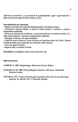 17
Adicione la solución a a la solución b gradualmente, agite vigorosamente y
filtre a través de papel de filtro antes de usar.
Procedimiento de coloración
- Realice un frotis de la solución bacterial sobre una lámina limpia.
- Extienda la solución Bailey A sobre el frotis durante 3 minutos y medio a
temperatura ambiente.
- Escurra la solución de la lámina y sin lavarla adicione la solución Bailey B, y
deje actuar durante 7 minutos a temperatura ambiente.
- Enjuague la lámina con agua destilada.
- Antes de secar la lámina, cubra el frotis con fuschina-carbol de Ziehl y flameé
la lámina hasta que la solución de colorante emita vapores.
- Lave con agua corriente.
- Seque al aire y examine el frotis.
Resultados: Los flagelos toman una coloración roja.
BmUOGRAFIA
AGRIOS, G. 1986. Fitopatología. Ediciones Limusa. Méjico.
SCHAAD, N. W. 1988. Plant pathogenic bacteria. APS press. Minnesota,
Estados Unidos.
TOVAR, R. 1977. Guías y lecturas para la práctica del curso de microbiología
agrícola. 3a. edición. Ed. U. Nacional. Bogotá.
 