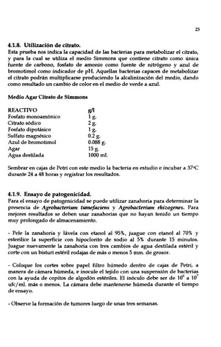 23
4.1.8. Utilización de citrato.
Esta prueba nos indica la capacidad de las bacterias para metabolizar el citrato,
y para la cual se utiliza el medio Simmons que contiene citrato como única
fuente de carbono, fosfato de amonio como fuente de nitrógeno y azul de
bromotimol como indicador de pH. Aquellas bacterias capaces de metabolizar
el citrato podrán multiplicarse produciendo la alcalinización del medio, dando
como resultado un cambio de color en el medio de verde a azul.
Medio Agar Citrato de Sinunons
REACTIVO
Fosfato monoamónico
Gtrato sódico
Fosfato dipotásico
Sulfato magnésico
Azul de bromotimol
Agar
Agua destilada
&'l
1 g.
2g.
1 g.
0.2 g.
0.088 g.
15 g.
1000 mI.
Sembrar en cajas de Petri con este medio la bacteria en estudio e incubar a 37<>C
durante 24 a 48 horas y registrar los resultados.
4.1.9. Ensayo de patogenicidad.
Para el ensayo de patogenicidad se puede utilizar zanahoria para determinar la
presencia de Agrobacterium tumefaciens y Agrobacterium rhizogenes. Para
mejores resultados se deben usar zanahorias que no hayan tenido un tiempo
muy prolongado de almacenamiento.
- Pele la zanahoria y lávela con etanol al 95%, juague con etanol al 70% y
esterilice la superficie con hipoclorito de sodio al 5% durante 15 minutos.
Juague nuevamente la zanahoria con tres cambios de agua destilada estéril y
corte con un bisturí estéril rodajas de más o menos 5 mm. de grosor.
- Coloque los cortes sobre papel filtro húmedo dentro de cajas de Petri, a
manera de cámara húmeda, e inocule el tejido con una suspensión de bacterias
con la ayuda de copitos de algodón estériles. El inóculo debe ser de 10
6
a 10
7
ufcjmI. más o menos. La cámara debe mantenerse húmeda durante el tiempo
de ensayo.
- Observe la formación de tumores luego de unas tres semanas.
 