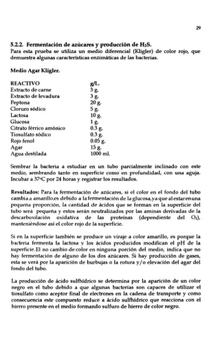 29
5.2.2. Fermentación de azúcares y producción de H2S.
Para esta prueba se utiliza un medio diferencial (Kligler) de color rojo, que
demuestra algunas características enzimáticas de las bacterias.
Medio Agar Kligler.
REACTIVO
Extracto de carne
Extracto de levadura
Peptona
Cloruro sódico
Lactosa
Glucosa
Citrato férrico amónico
Tiosulfato sódico
Rojo fenol
Agar
Agua destilada
'{/L.
3g.
3g.
20g.
5g.
10 g.
1 g.
0.3 g.
0.3 g.
0.05 g.
15 g.
1000 mI.
Sembrar la bacteria a estudiar en un tubo parcialmente inclinado con este
medio, sembrando tanto en superficie como· en profundidad, con una aguja.
Incubar a 37"<: por 24 horas y registrar los resultados.
Resultados: Para la fermentación de azúcares, si el color en el fondo del tubo
cambia a amarillo,es debido a la fermentación de la glucosa,ya que al estarenuna
pequeña proporción, la cantidad de ácidos que se forman en la superficie del
tubo será pequeña y estos serán neutralizados por las aminas derivadas de la
descarboxilación oxidativa de las proteínas (dependiente del O2),
manteniéndose así el color rojo de la superficie.
Si en la superficie también se produce un viraje a color amarillo, es porque la
bacteria fermenta la lactosa y los ácidos producidos modifican el pH de la
superficie. El no cambio de color en ninguna porción del medio, indica que no
hay fermentación de alguno de los dos azúcares. Si hay producción de gases,
esta se verá por la aparición de burbujas o la rotura y/o elevación del agar del
fondo del tubo.
La producción de ácido sulfhídrico se determina por la aparición de un color
negro en el tubo debido a que algunas bacterias son capaces de utilizar el
tiosulfato corno aceptor final de electrones en la cadena de transporte y corno
consecuencia este compuesto reduce a ácido sulfhídrico que reacciona con el
hierro presente en el medio formando sulfuro de hierro de color negro.
 