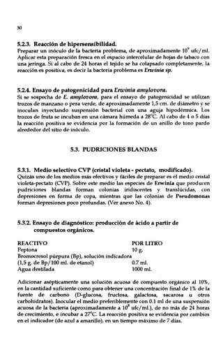30
5.2.3. Reacción de hipersensibilidad.
Preparar un inóculo de la bacteria problema, de aproximadamente 10
9
ufcjmI.
Aplicar esta preparación fresca en el espacio intercelular de hojas de tabaco con
una jeringa. Si al cabo de 24 horas el tejido se ha colapsado completamente, la
reacción es positiva, es decir la bacteria problema es Erwinia sp.
5.2.4. Ensayo de patogenicidad para Envinia amylovora.
Si se sospecha de E. amylovora, para el ensayo de patogenicidad se utilizan
trozos de manzano o pera verde, de aproximadamente 1,5 cm. de diámetro y se
inoculan inyectando suspensión bacterial con una aguja hipodérmica. Los
trozos de fruta se incuban en una cámara húmeda a 28°C. Al cabo de 4 o 5 días
la reacción positiva se evidencia por la formación de un anillo de tono pardo
alrededor del sitio de inóculo.
5.3. PUDRICIONES BLANDAS
5.3.1. Medio selectivo CVP (cristal violeta - pectato, modificado).
Quizás uno de los medios más efectivos y fáciles de preparar es el medio cristal
violeta-pectato (CVP). Sobre este medio las especies de Erwinia que producen
pudriciones blandas forman colonias iridiscentes y translúcidas, con
depresiones en forma de copa, mientras que las colonias de Pseudomonas
forman depresiones poco profundas. (Ver anexo No. 4).
5.3.2. Ensayo de diagnóstico: producción de ácido a partir de
compuestos orgánicos.
REACTIVO POR LITRO
Peptona 10 g.
Bromocresol púrpura (Bp), solución indicadora
(1,5 g. de Bpjl00 mI. de etanol) 0.7 mI.
Agua destilada 1000 mI.
Adicionar asépticamente una solución acuosa de compuesto orgánico al 10%,
en la cantidad suficiente como para obtener una concentración final de 1% de la
fuente de carbono (D-glucosa, fructosa, galactosa, sacarosa u otros
carbohidratos). Inocular el medio preferiblemente con 0.1 mI de una suspensión
acuosa de la bacteria (aproximadamente a 10
8
ufcjmI.), de no más de 24 horas
de crecimiento, e incubar a 2~C. La reacción positiva se evidencia por cambios
en el indicador (de azul a amarillo), en un tiempo máximo de 7 días.
 