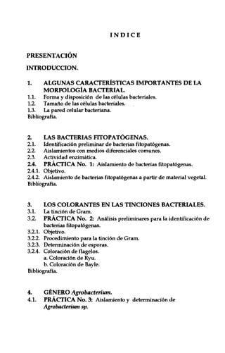 PRESENTACIÓN
INTRODUCCION.
INDICE
1. ALGUNAS CARACTERÍSTICAS IMPORTANTES DE LA
MORFOLOGÍA BACTERIAL.
1.1. Forma y disposición de las células bacteriales.
1.2. Tamaño de las células bacteriales.
1.3. La pared celular bacteriana.
Bibliografía.
2. LAS BACTERIAS FITOPATÓGENAS.
2.1. Identificación preliminar de bacterias fitopatógenas.
2.2. Aislamientos con medios diferenciales comunes.
2.3. Actividad enzimática.
24. PRÁCTICA No. 1: Aislamiento de bacterias fitopatógenas.
2.4.1. Objetivo.
2.4.2. Aislamiento de bacterias fitopatógenas a partir de material vegetal.
Bibliografía.
3. LOS COLORANTES EN LAS TINCIONES BACTERIALES.
3.1. La tinción de Gram.
3.2. PRÁCTICA No. 2: Análisis preliminares para la identificación de
bacterias fitopatógenas.
3.2.1. Objetivo.
3.2.2. Procedimiento para la tinción de Gram.
3.2.3. Determinación de esporas.
3.2.4. Coloración de flagelos.
a. Coloración de Ryu.
b. Coloración de Bayle.
Bibliografía.
4. GÉNERO Agrobacterium.
4.1. PRÁCTICA No. 3: Aislamiento y determinación de
Agrobacterium sp.
 