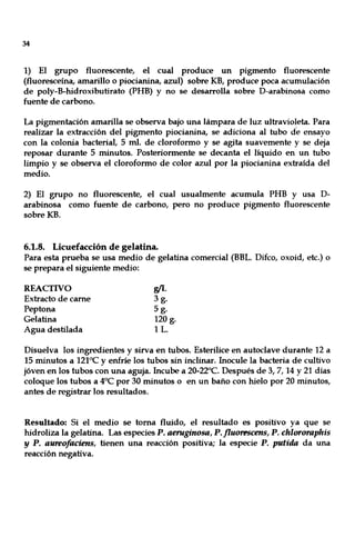 34
1) El grupo fluorescente, el cual produce un pigmento fluorescente
(fluoresceína, amarillo o piocianina, azul) sobre KB, produce poca acumulación
de poly-B-hidroxibutirato (PHB) y no se desarrolla sobre D-arabinosa como
fuente de carbono.
La pigmentación amarilla se observa bajo una lámpara de luz ultravioleta. Para
realizar la extracción del pigmento piocianina, se adiciona al tubo de ensayo
con la colonia bacterial, 5 mI. de cloroformo y se agita suavemente y se deja
reposar durante 5 minutos. Posteriormente se decanta el líquido en un tubo
limpio y se observa el cloroformo de color azul por la piocianina extraída del
medio.
2) El grupo no fluorescente, el cual usualmente acumula PHB y usa D-
arabinosa como fuente de carbono, pero no produce pigmento fluorescente
sobreKB.
6.1.8. Licuefacción de gelatina.
Para esta prueba se usa medio de gelatina comercial (BBL. Difco, oxoid, etc.) o
se prepara el siguiente medio:
REACTIVO
Extracto de carne
Peptona
Gelatina
Agua destilada
rJL
3g.
5g.
120 g.
1L.
Disuelva los ingredientes y sirva en tubos. Esterilice en autoclave durante 12 a
15 minutos a 121°C y enfríe los tubos sin inclinar. Inocule la bacteria de cultivo
jóven en los tubos con una aguja. Incube a 20-22°C. Después de 3, 7, 14 Y21 días
coloque los tubos a 4°C por 30 minutos o en un baño con hielo por 20 minutos,
antes de registrar los resultados.
Resultado: Si el medio se toma fluido, el resultado es positivo ya que se
hidroliza la gelatina. Las especies P. aeruginosa, P. flu~cens, P. chlororaphis
y P. aureofaciens, tienen una reacción positiva; la especie P. putidJl da una
reacción negativa.
 