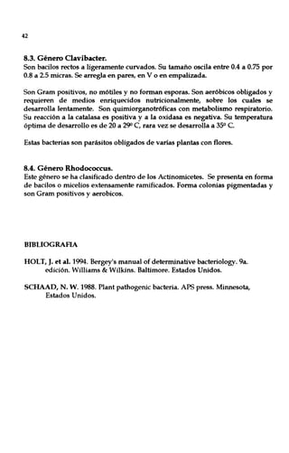 42
8.3. Género Clavibader.
Son bacilos rectos a ligeramente curvados. Su tamaño oscila entre 0.4 a 0.75 por
0.8 a 2.5 micras. Se arregla en pares, en V o en empalizada.
Son Gram positivos, no mótiles y no forman esporas. Son aeróbicos obligados y
requieren de medios enriquecidos nutricionalmente, sobre los cuales se
desarrolla lentamente. Son quimiorganotróficas con metabolismo respiratorio.
Su reacción a la catalasa es positiva y a la oxidasa es negativa. Su temperatura
óptima de desarrollo es de 20 a 290 e, rara vez se desarrolla a 35° C.
Estas bacterias son parásitos obligados de varías plantas con flores.
8.4. Género Rhodococcus.
Este género se ha clasificado dentro de los Actinomicetes. Se presenta en forma
de bacilos o micelios extensamente ramificados. Forma colonias pigmentadas y
son Gram positivos y aerobicos.
BIBLlOGRAFIA
HOLT, J. el al. 1994. Bergey's manual of determinative bacteriology. 9a.
edición. Williams & Wilkins. Baltimore. Estados Unidos.
SCHAAD, N. W. 1988. Plant pathogenic bacteria. APS press. Minnesota,
Estados Unidos.
 