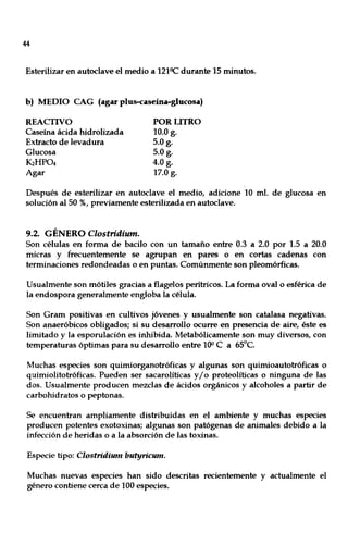 44
Esterilizar en autoclave el medio a 1210C durante 15 minutos.
b) MEDIO CAG (agar plus-caseína-glucosa)
REACTIVO
Caseína ácida hidrolizada
Extracto de levadura
Glucosa
K2HP04
Agar
POR LITRO
10.0g.
5.0 g.
5.0 g.
4.0 g.
17.0 g.
Después de esterilizar en autoclave el medio, adicione 10 mI. de glucosa en
solución al 50 %, previamente esterilizada en autoclave.
9.2. GÉNERO Clostridium.
Son células en forma de bacilo con un tamaño entre 0.3 a 2.0 por 1.5 a 20.0
micras y frecuentemente se agrupan en pares o en cortas cadenas con
terminaciones redondeadas o en puntas. Comúnmente son pleomórficas.
Usualmente son mótiles gracias a flagelos perítricos. La forma ovalo esférica de
la endospora generalmente engloba la célula.
Son Gram positivas en cultivos jóvenes y usualmente son catalasa negativas.
Son anaeróbicos obligados; si su desarrollo ocurre en presencia de aire, éste es
limitado y la esporulación es inhibida. Metabólicamente son muy diversos, con
temperaturas óptimas para su desarrollo entre lOO C a 65°C.
Muchas especies son quimiorganotróficas y algunas son quimioautotróficas o
quimiolitotróficas. Pueden ser sacarolíticas y/o proteolíticas o ninguna de las
dos. Usualmente producen mezclas de ácidos orgánicos y alcoholes a partir de
carbohidratos o peptonas.
Se encuentran ampliamente distribuidas en el ambiente y muchas especies
producen potentes exotoxinas; algunas son patógenas de animales debido a la
infección de heridas o a la absorción de las toxinas.
Especie tipo: Clostridium butyricum.
Muchas nuevas especies han sido descritas recientemente y actualmente el
género contiene cerca de 100 especies.
 