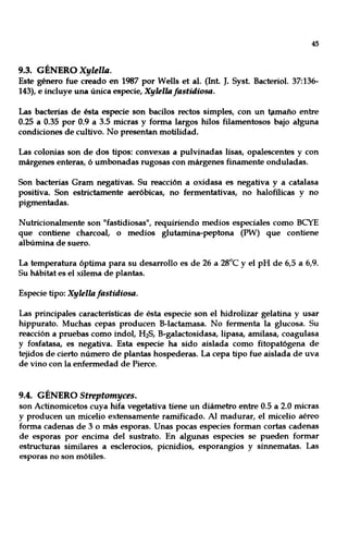 45
9.3. GÉNERO Xylella.
Este género fue creado en 1987 por Wells et al. (Int J. Syst Bacteriol. 37:136-
143), e incluye una única especie, Xylella fastidiosa.
Las bacterias de ésta especie son bacilos rectos simples, con un lflmaño entre
0.25 a 0.35 por 0.9 a 3.5 micras y forma largos hilos filamentosos bajo alguna
condiciones de cultivo. No presentan motilidad.
Las colonias son de dos tipos: convexas a pulvinadas lisas, opalescentes y con
márgenes enteras, ó umbonadas rugosas con márgenes finamente onduladas.
Son bacterias Gram negativas. Su reacción a oxidasa es negativa y a catalasa
positiva. Son estrictamente aeróbicas, no fermentativas, no halofílicas y no
pigmentadas.
Nutricionalmente son "fastidiosas", requiriendo medios especiales como BCYE
que contiene charcoal, o medios glutamina-peptona (PW) que contiene
albúmina de suero.
La temperatura óptima para su desarrollo es de 26 a 28°C y el pH de 6,5 a 6,9.
Su hábitat es el xilema de plantas.
Especie tipo: Xylella fastidiosa.
Las principales características de ésta especie son el hidrolizar gelatina y usar
hippurato. Muchas cepas producen B-Iactamasa. No fermenta la glucosa. Su
reacción a pruebas como indol, H2S, B-galactosidasa, lipasa, amilasa, coagulasa
y fosfatasa, es negativa. Esta especie ha sido aislada como fitopatógena de
tejidos de cierto número de plantas hospederas. La cepa tipo fue aislada de uva
de vino con la enfermedad de Pierce.
9.4. GÉNERO Streptomyces.
son Actinomicetos cuya hifa vegetativa tiene un diámetro entre 0.5 a 2.0 micras
y producen un micelio extensamente ramificado. Al madurar, el micelio aéreo
forma cadenas de 3 o más esporas. Unas pocas especies forman cortas cadenas
de esporas por encima del sustrato. En algunas especies se pueden formar
estructuras similares a esclerocios, picnidios, esporangios y sinnematas. Las
esporas no son mótiles.
 
