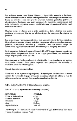 46
Las colonias tienen una forma discreta y liquenoide, cueruda o butirosa.
Inicialmente las colonias tienen una superficie lisa pero luego desarrollan una
trama de micelio aéreo que puede aparecer fluocosa, granular, polvosa o
aterciopelada. Producen una gran variedad de pigmentos responsables del
color del micelio vegetativo y aéreo¡ también forman pigmentos difusibles en el
medio de desarrollo.
Muchas cepas producen uno o más antibióticos. Estos Actinos son Gram
positivos pero no por fijación de alcohol-ácido. Su reacción a la catalasa es
positiva..
Son anaeróbicos y quimiorganotróficos con un metabolismo de tipo oxidativo.
Generalmente reducen nitratos a nitritos y degradan adenina, esculina, caseína,
gelatina, hipoxantina, almidón y L-tirosina. Usan un amplio rango de
compuestos orgánicos como fuentes de carbono para energía y desarrollo.
Su temperatura óptima de desarrollo es de 25 a 35°C, pero algunas especies se
desarrollan a temperaturas dentro de los rangos psicrofílicos y termofílicos¡ el
rango de pH óptimo es de 6,5 a 8,0.
Streptomyces se halla ampliamente distribuido y en abundancia en suelos,
incluyendo compost. Unas pocas especies son patógenas de animales y
humanos, otras son fitopatógenas.
Especie tipo: Streptomyces albus.
En cuanto a los especies fitopatógenas, Streptomyces scabies causa la sama
común del tubérculo de papa (Solanum tuberosum)¡ también infecta la raíz de
rábano, remolacha, nabo de Suecia, nabo, zanahoria y chirivía.
9.4.1. AISLAMIENTO DE Streptomyces scabies.
MEDIO YME (Agar extracto de malta y levadura).
REACTIVO
Extracto de levadura
Extracto de malta
Dextrosa
Agar
Agua destilada
CANTIL·
4.0 gr.
10.0 gr.
4.0 gr.
20.0 gr.
1000 mI.
Ajuste el pH a 7.3 con NaOH antes de adicionar el agar. Esterilice en autoclave
y sirva el medio en cajas de Petri.
 