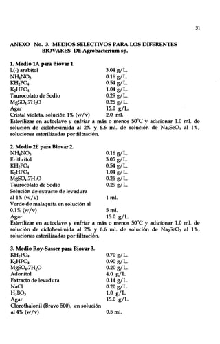 ANEXO No. 3. MEDIOS SELECTIVOS PARA LOS DIFERENTES
BIOVARES DE Agrobacterium sp.
1. Medio lA para Biovar 1.
L(-) arabitol 3.04 giL.
N~N03 0.16 giL.
KH2P04 0.54 giL.
K2HP04 1.04 giL.
Taurocolato de Sodio 0.29 giL.
MgS04.7H20 0.25 giL.
Agar 15.0 giL.
Cristal violeta, solución 1% (wIv) 2.0 mI.
51
Esterilizar en autoclave y enfriar a más o menos 50°C y adicionar 1.0 mI. de
solución de cicloheximida al 2% y 6.6 mI. de solución de Na2Se03 al 1%,
soluciones esterilizadas por filtración.
2. Medio 2E para Biovar 2.
N~N03
Erithritol
KH2P04
K2HP04
MgS04.7H20
Taurocolato de Sodio
Solución de extracto de levadura
0.16 giL.
3.05 giL.
0.54 giL.
1.04 giL.
0.25 giL.
0.29 giL.
all% (w/v) 1 mI.
Verde de malaquita en solución al
0.1% (wIv) 5 mI.
Agar 15.0 giL.
Esterilizar en autoclave y enfriar a más o menos 50°C y adicionar 1.0 mI. de
solución de cicloheximida al 2% Y 6.6 mI. de solución de Na2Se03 al 1%,
soluciones esterilizadas por filtración.
3. Medio Roy-Sasser para Biovar 3.
KH2P04
K2HP04
MgS04·7H20
Adonitol
Extracto de levadura
NaO
H3B03
Agar
Oorothalonil (Bravo 500), en solución
a14% (w/v)
0.70 giL.
0.90 giL.
0.20 giL.
4.0 giL.
0.14 giL.
0.20 giL.
1.0 giL.
15.0 giL.
0.5 mI.
 