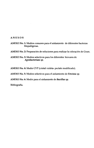 ANEXOS
ANEXO No. 1: Medios comunes para el aislamiento de diferentes bacterias
fitopatógenas.
ANEXO No. 2: Preparación de soluciones para realizar la colon,ción de Gram.
ANEXO No. 3: Medios selectivos para los diferentes biovares de
Agrobacterium sp.
ANEXO No. 4: Medio CVP (cristal violeta- pectato modificado).
ANEXO No. 5: Medios selectivos para el aislamiento de Erwinia sp.
ANEXO No. 6: Medio para el aislamiento de Bacillus sp.
Bibliografía.
 