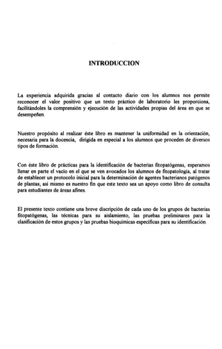 INTRODUCCION
La experiencia adquirida gracias al contacto diario con los alumnos nos permite
reconocer el valor positivo que un texto práctico de laboratorio les proporciona,
facilitándoles la comprensión y ejecución de las actividades propias del área en que se
desempeñen.
Nuestro propósito al realizar éste libro es mantener la uniformidad en la orientación,
necesaria para la docencia, dirigida en especial a los alumnos que proceden de diversos
tipos de formación.
Con éste libro de prácticas para la identificación de bacterias fitopatógenas, esperamos
llenar en parte el vacío en el que se ven avocados los alumnos de fitopatología, al tratar
de establecer un protocolo inicial para la determinación de agentes bacterianos patógenos
de plantas; así mismo es nuestro fin que este texto sea un apoyo como libro de consulta
para estudiantes de áreas afines.
El presente texto contiene una breve discripción de cada uno de los grupos de bacterias
fitopatógenas, las técnicas para su aislamiento, las pruebas preliminares para la
clasificación de estos grupos y las pruebas bioquímicas específicas para su identificación.
 