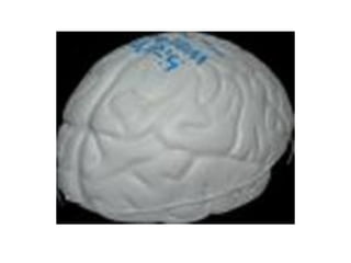 my research topics 09052009