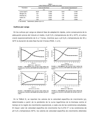 Cultivo por carga
En los cultivos por carga se observó fase de adaptaci ón rápida, como consecuencia de la
adecuación previa del inóculo al medio. A pH 5,9 y temperaturas de 40 y 42°C, el cultivo
creció exponencialmente de 6 a 7 horas, mientras que a pH 6,8 y temperaturas de 40 y
42°C la duración de esta fase fue de 5 horas (FIGS. 1 a 4).
En la TABLA II, se reportan los valores de la velocidad específica de crecimiento (µ),
determinados a partir de la pendiente de la curva logarítmica de la biomasa contra el
tiempo en la región de crecimiento exponencial, a cada una de las condiciones estudiadas.
El mayor valor de velocidad específica de crecimiento fue 0,376 h-1 a las condiciones de
pH 5,9 y temperatura 40°C; los valores de velocidad específica de crecimiento obtenidos
Página 6 de 11veterinaria
23/01/2006file://C:SciELOserialrcv14n4bodyart_03.htm
 