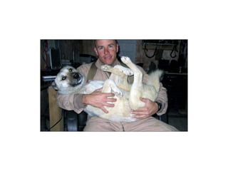 Animal photograph slideshow