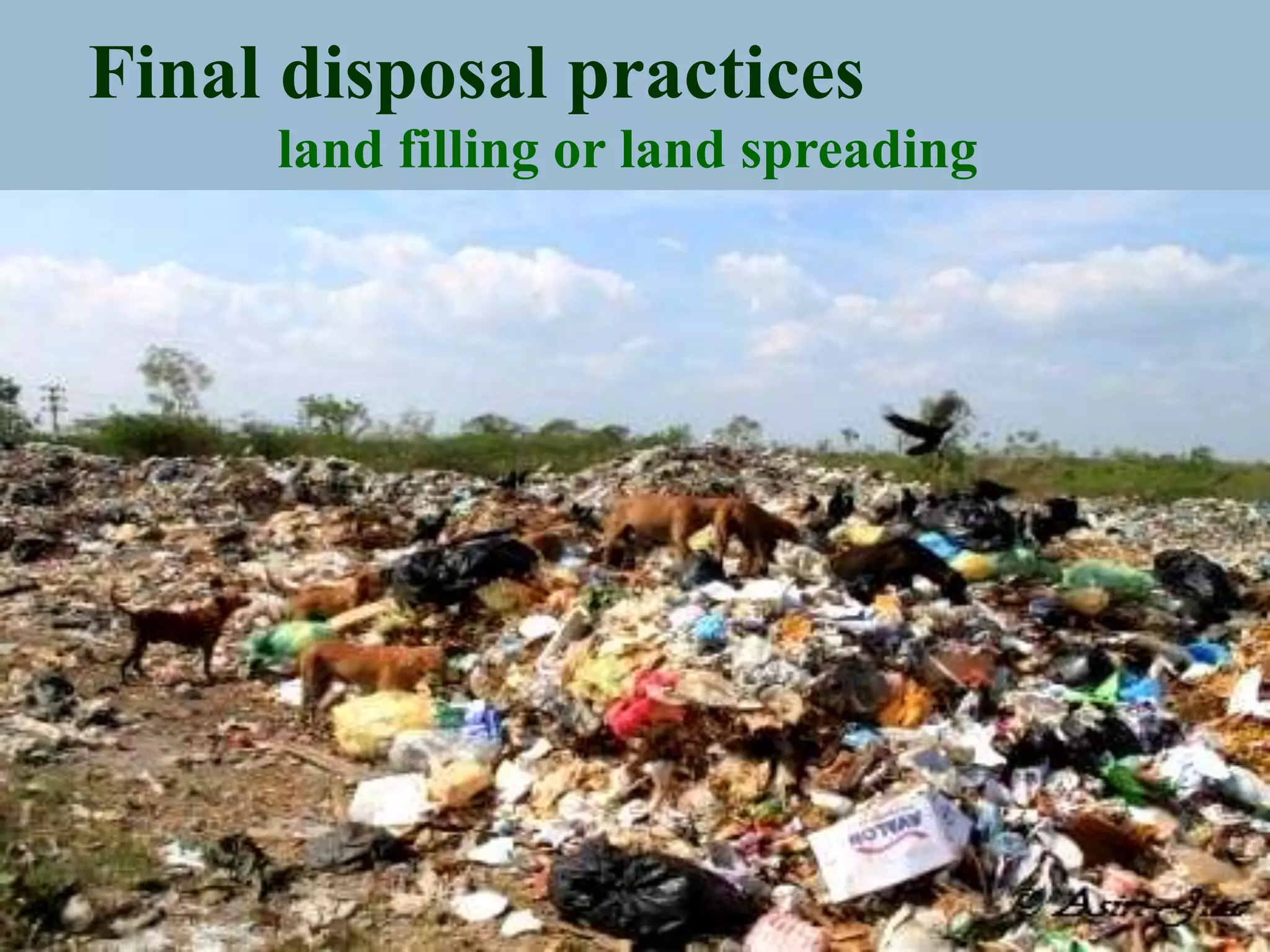 The importance of Solid Waste Management (SWM) for Sustainable ...