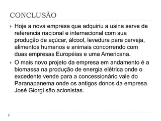 CONCLUSÃO 
 Hoje a nova empresa que adquiriu a usina serve de 
referencia nacional e internacional com sua 
produção de açúcar, álcool, levedura para cerveja, 
alimentos humanos e animais concorrendo com 
duas empresas Européias e uma Americana. 
 O mais novo projeto da empresa em andamento é a 
biomassa na produção de energia elétrica onde o 
excedente vende para a concessionário vale do 
Paranapanema onde os antigos donos da empresa 
José Giorgi são acionistas. 
 