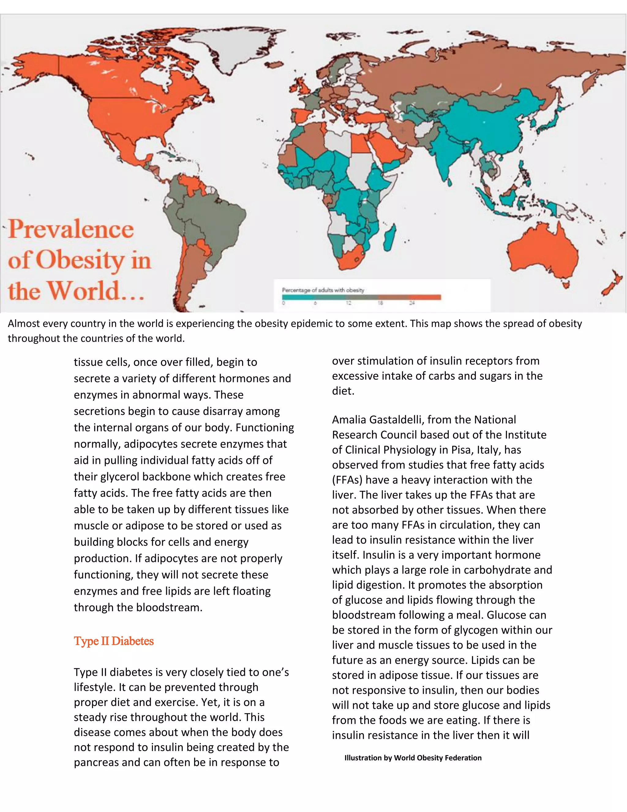 tissue cells, once over filled, begin to
secrete a variety of different hormones and
enzymes in abnormal ways. These
secretions begin to cause disarray among
the internal organs of our body. Functioning
normally, adipocytes secrete enzymes that
aid in pulling individual fatty acids off of
their glycerol backbone which creates free
fatty acids. The free fatty acids are then
able to be taken up by different tissues like
muscle or adipose to be stored or used as
building blocks for cells and energy
production. If adipocytes are not properly
functioning, they will not secrete these
enzymes and free lipids are left floating
through the bloodstream.
Type II Diabetes
Type II diabetes is very closely tied to one’s
lifestyle. It can be prevented through
proper diet and exercise. Yet, it is on a
steady rise throughout the world. This
disease comes about when the body does
not respond to insulin being created by the
pancreas and can often be in response to
over stimulation of insulin receptors from
excessive intake of carbs and sugars in the
diet.
Amalia Gastaldelli, from the National
Research Council based out of the Institute
of Clinical Physiology in Pisa, Italy, has
observed from studies that free fatty acids
(FFAs) have a heavy interaction with the
liver. The liver takes up the FFAs that are
not absorbed by other tissues. When there
are too many FFAs in circulation, they can
lead to insulin resistance within the liver
itself. Insulin is a very important hormone
which plays a large role in carbohydrate and
lipid digestion. It promotes the absorption
of glucose and lipids flowing through the
bloodstream following a meal. Glucose can
be stored in the form of glycogen within our
liver and muscle tissues to be used in the
future as an energy source. Lipids can be
stored in adipose tissue. If our tissues are
not responsive to insulin, then our bodies
will not take up and store glucose and lipids
from the foods we are eating. If there is
insulin resistance in the liver then it will
Illustration by World Obesity Federation
Almost every country in the world is experiencing the obesity epidemic to some extent. This map shows the spread of obesity
throughout the countries of the world.
 