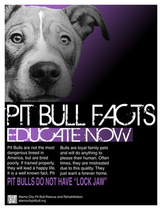 EDUCATE NOW
PIT BULL FACTS
Pit Bulls are not the most
dangerous breed in
America, but are bred
poorly. If trained properly,
they will lead a happy life.
It is a well known fact, Pit
PITBULLSDONOTHAVE“LOCKJAW”
Alamo City Pit Bull Rescue and Rehabilitation
alamocitypitbull.org
Bulls are loyal family pets
and will do anything to
please their human. Often
times, they are mistreated
due to this quality. They
just want a forever home.
 