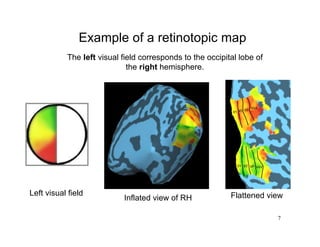 Onto Visual Example Emma_Retinotopy_Background | PDF