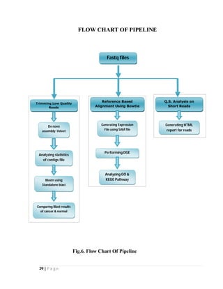 29 | P a g e
FLOW CHART OF PIPELINE
Fig.6. Flow Chart Of Pipeline
Reference Based
Alignment Using Bowtie
Fastq files
Q.S. Analysis on
Short Reads
Trimming Low Quality
Reads
Generating HTML
report for reads
De novo
assembly: Velvet
Blastn using
Standalone blast
Comparing Blast results
of cancer & normal
Generating Expression
File using SAM file
Performing DGE
analysis
Analyzing GO &
KEGG Pathway
Analyzing statistics
of contigs file
 