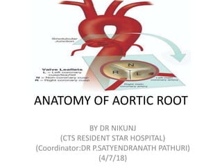 ANATOMY OF AORTIC ROOT
BY DR NIKUNJ
(CTS RESIDENT STAR HOSPITAL)
(Coordinator:DR P.SATYENDRANATH PATHURI)
(4/7/18)
 