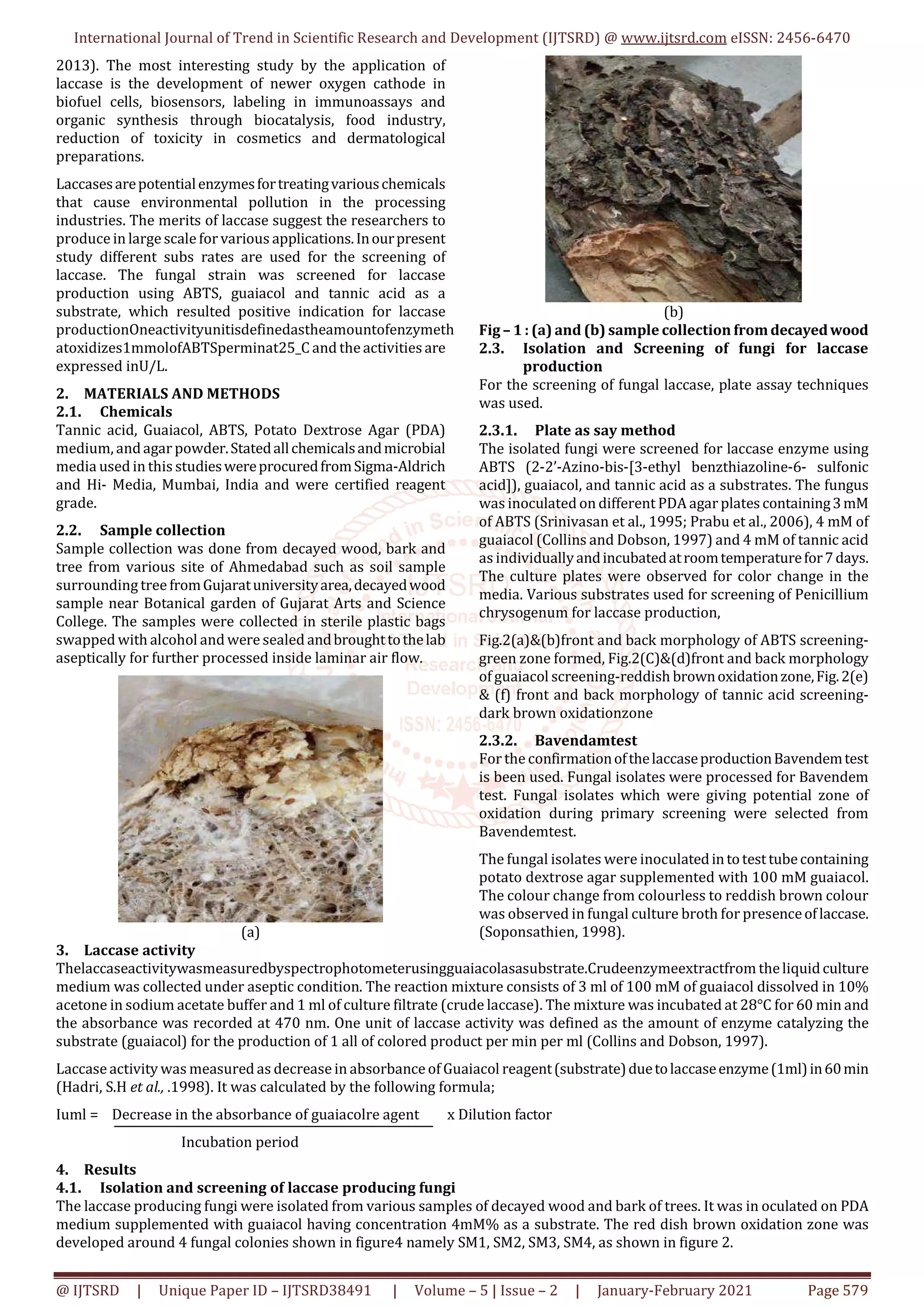 Screening of Laccase Producing White Rot Fungus from Decayed Wood | PDF