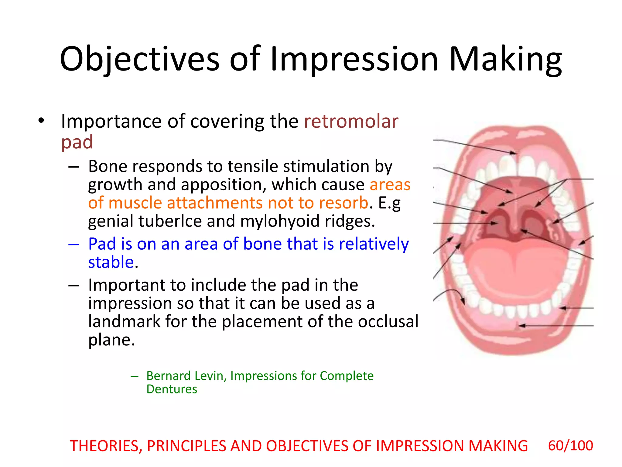 Objectives of Impression Making
• Importance of covering the retromolar
pad
– Bone responds to tensile stimulation by
growth and apposition, which cause areas
of muscle attachments not to resorb. E.g
genial tuberlce and mylohyoid ridges.
– Pad is on an area of bone that is relatively
stable.
– Important to include the pad in the
impression so that it can be used as a
landmark for the placement of the occlusal
plane.
– Bernard Levin, Impressions for Complete
Dentures
THEORIES, PRINCIPLES AND OBJECTIVES OF IMPRESSION MAKING 60/100
 
