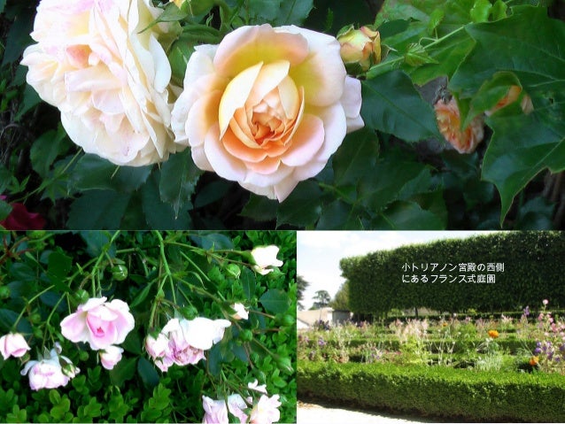 旅の設計図 96 パリを歩く 7 ヴェルサイユ宮殿２ Walking Paris 7 Chateau De Versailles