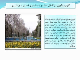 ‫پالیزین‬(‫ن‬‫صابو‬‫حشره‬‫کش‬)‫با‬‫ز‬‫دو‬‫مصرف‬0/5
‫در‬‫ار‬‫ز‬‫ه‬‫به‬‫عنوان‬‫تنها‬‫ماده‬‫مجاز‬‫جهت‬
‫ی‬‫شستشو‬‫گیاهان‬‫فضای‬‫سبز‬‫ی‬‫شهر‬‫و‬‫دود‬‫ز‬‫ن‬
‫گرد‬‫و‬‫غبار‬‫و‬‫یزگردها‬‫ر‬‫و‬‫شستن‬‫آفات‬‫و‬‫تخم‬‫آ‬‫نها‬‫و‬
‫با‬‫هدف‬‫حفظ‬‫اوت‬‫ر‬‫ط‬‫گیاه‬‫و‬‫ی‬‫جلوگیر‬‫از‬‫ان‬‫ز‬‫خ‬
‫س‬‫ر‬‫د‬‫و‬‫ز‬‫و‬‫با‬‫ز‬‫دو‬1/5‫تا‬2/5‫در‬‫ار‬‫ز‬‫ه‬‫جهت‬‫ه‬‫ز‬‫مبار‬
‫ل‬‫وکنتر‬‫آفات‬‫فضای‬‫سبز‬‫ی‬‫شهر‬‫از‬‫جمله‬‫شت‬‫ه‬‫و‬
‫بیشتر‬‫گونه‬‫آفات‬‫مکنده‬‫و‬‫مگس‬‫سفید‬‫ت‬‫وسط‬
‫مان‬‫ز‬‫سا‬‫پارک‬‫ها‬‫و‬‫فضای‬‫سبز‬‫به‬‫ر‬‫پیمانکا‬‫ان‬
‫فضای‬‫سبز‬‫توصیه‬‫شده‬‫و‬‫توسط‬‫آنها‬‫است‬‫فاده‬
‫می‬‫گردد‬.
‫شه‬‫سبز‬ ‫فضای‬ ‫ی‬‫شستشو‬‫و‬ ‫آفات‬ ‫ل‬‫کنتر‬‫در‬ ‫پالیزین‬ ‫برد‬‫ر‬‫کا‬‫ی‬‫ر‬
 