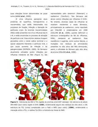 Andrade, C. H., Trossini, G. H. G., Ferreira, E. I./Revista Eletrônica de Farmácia Vol 7 (1), 1-23,
2010.
suas infecções foram denominadas de gripe
suína (WANG et al., 2009).
O vírus influenza apresenta duas
proteínas de superfície, hemaglutinina e
neuramidase, que estão relacionadas nos
processos de fixação, infecção e liberação de
partículas virais. As enzimas neuraminidases
(NAs) estão presentes nos vírus influenza tipo A
e B, e estão envolvidas no processo de ativação
da partícula viral. Essa enzima catalisa clivagem
glicosídica entre o ácido siálico terminal e o
açúcar adjacente liberando a partícula viral, o
que causa aumento da infecção e da
patogenicidade (PATRICK, 2009). Os fármacos
atualmente utilizados contra infecções por
influenza inibidores de NAs (Figura 5), são
representados pelo zanamivir (Relenza) e
oseltamivir (Tamiflu). Tais fármacos são
ativos contra infecções por influenza A H1N1.
No entanto, diversas cepas de influenza se
mostram resistentes a esses fármacos,
principalmente ao oseltamivir, como reportado
por COLLINS e colaboradores em 2008
(COLLINS et al., 2008), quando definiram a
estrutura cristalográfica da NA de influenza,
H5N1, resistente ao oseltamivir. Essa
resistência é sugerida, entre outros fatores, a
mutações nos resíduos de aminoácidos
presentes no sítio ativo das NAs diminuindo,
assim, a afinidade do fármaco pelo sítio ativo
da enzina (COLLINS et al., 2008).
Figura 5 - Estruturas da INH e TCL ligadas às enzimas enoil-ACP redutase: (A) estrutura do aduto
INH-NAD (azul ciano) ligado à InhA (1ZID), evidenciando alguns dos resíduos do sítio ativo; e (B)
estrutura da TCL (cinza) complexada com a FabI e NAD (azul ciano) (1D8A), evidenciando a
interação entre a TCL, o resíduo Tyr156 e a hidroxila da ribose do NAD.
 