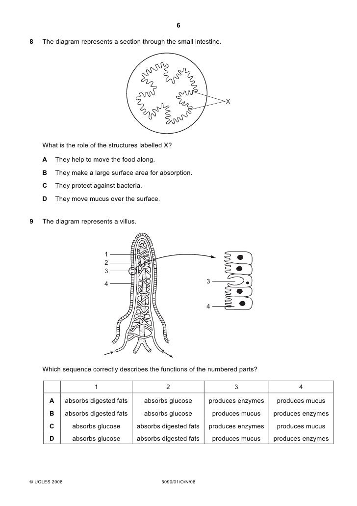 2008 Biology Mcq Printed