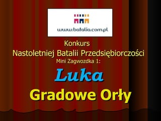 Konkurs   Nastoletniej Batalii Przedsiębiorczości Mini Zagwozdka 1: Luka Gradowe Orły 