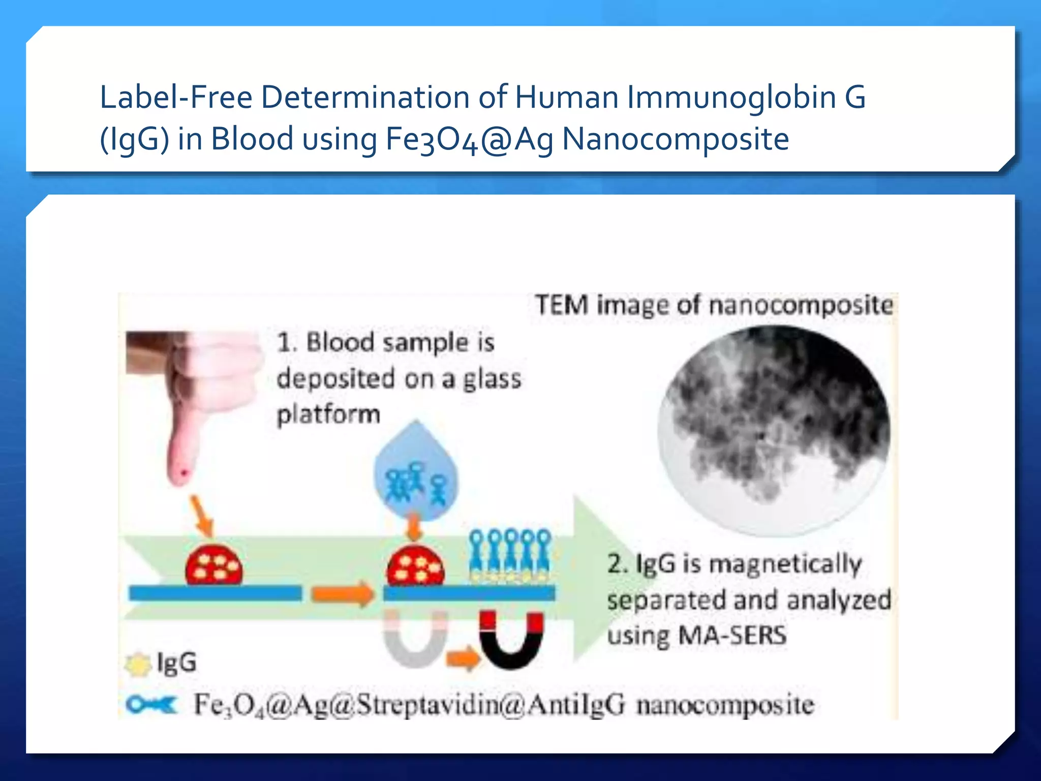 Label-Free Determination of Human Immunoglobin G
(IgG) in Blood using Fe3O4@Ag Nanocomposite
 