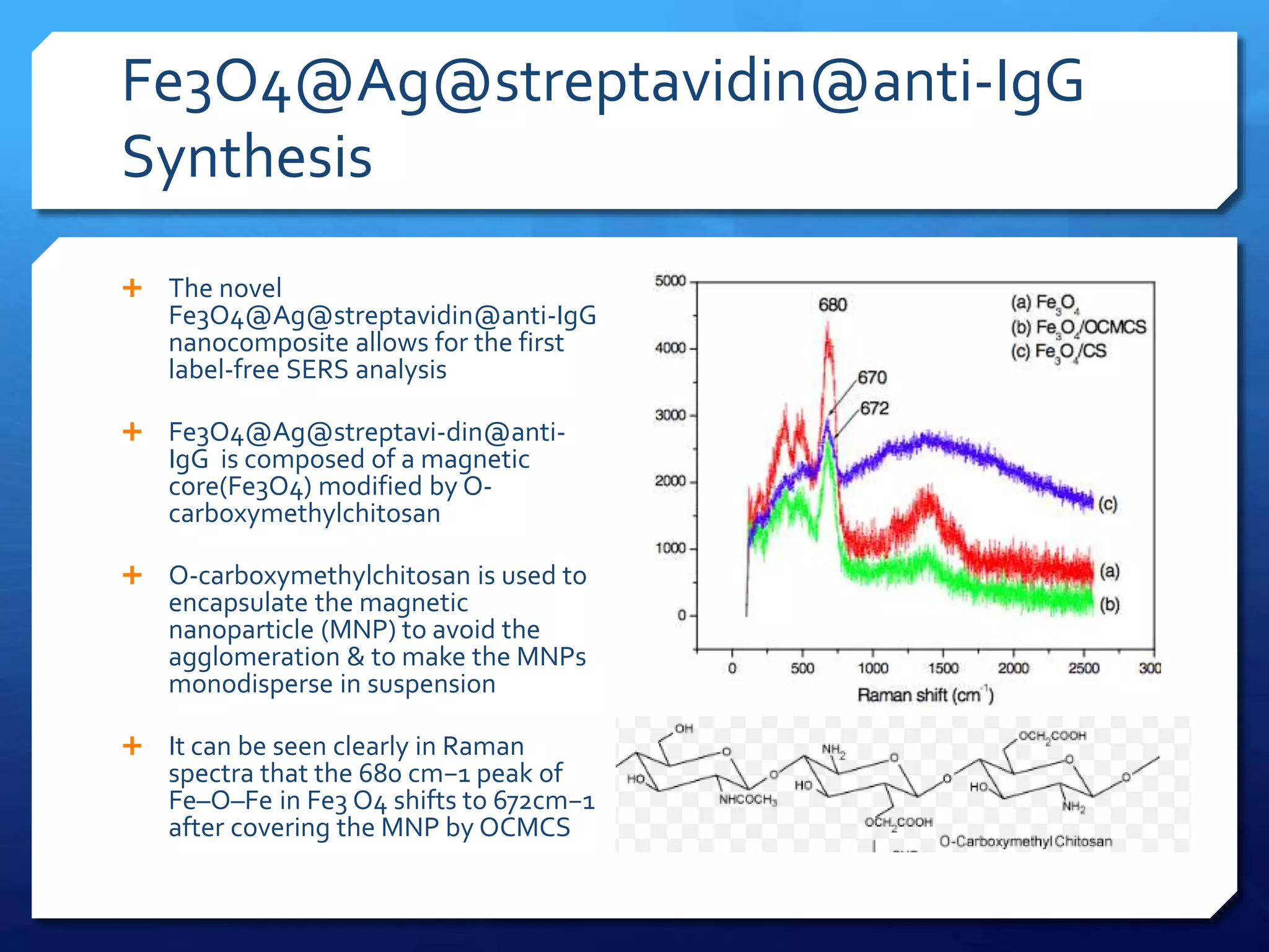 Fe3O4@Ag@streptavidin@anti-IgG
Synthesis
 The novel
Fe3O4@Ag@streptavidin@anti-IgG
nanocomposite allows for the first
label-free SERS analysis
 Fe3O4@Ag@streptavi-din@anti-
IgG is composed of a magnetic
core(Fe3O4) modified by O-
carboxymethylchitosan
 O-carboxymethylchitosan is used to
encapsulate the magnetic
nanoparticle (MNP) to avoid the
agglomeration & to make the MNPs
monodisperse in suspension
 It can be seen clearly in Raman
spectra that the 680 cm−1 peak of
Fe–O–Fe in Fe3 O4 shifts to 672cm−1
after covering the MNP by OCMCS
 