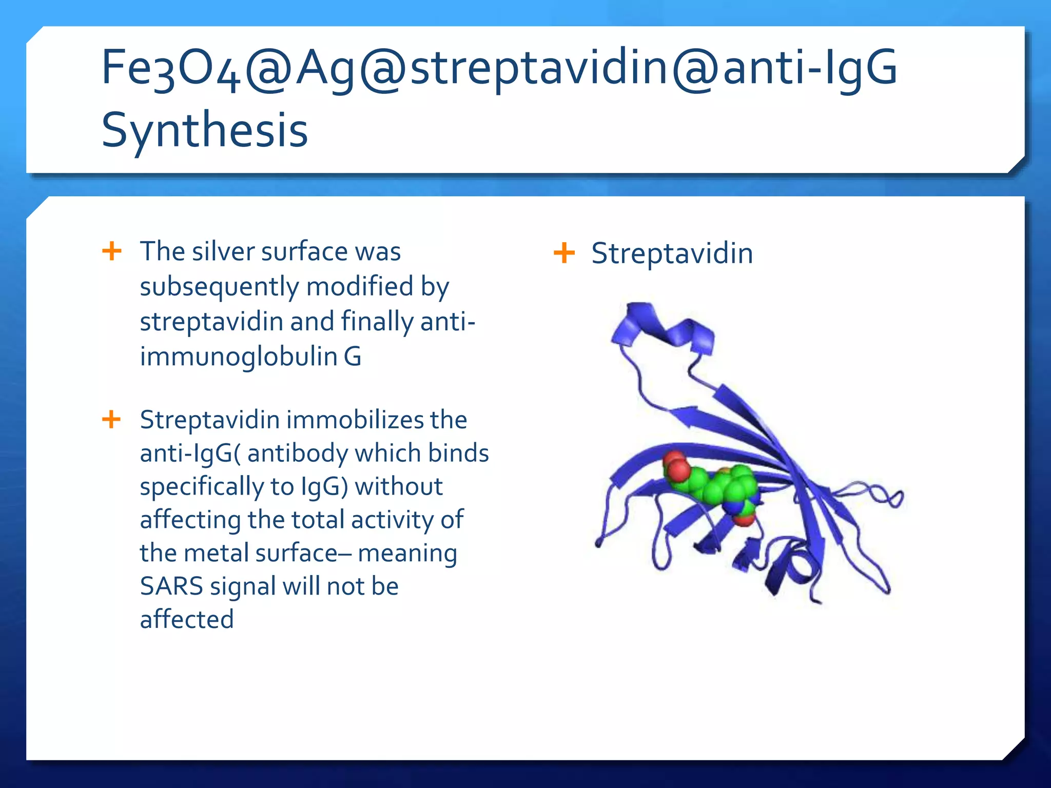 Fe3O4@Ag@streptavidin@anti-IgG
Synthesis
 The silver surface was
subsequently modified by
streptavidin and finally anti-
immunoglobulin G
 Streptavidin immobilizes the
anti-IgG( antibody which binds
specifically to IgG) without
affecting the total activity of
the metal surface– meaning
SARS signal will not be
affected
 Streptavidin
 