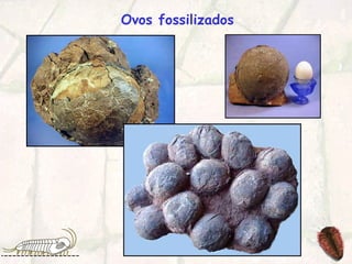 Ovos fossilizados
 