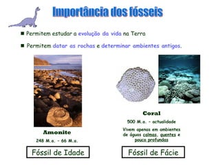  Permitem estudar a evolução da vida na Terra
 Permitem datar as rochas e determinar ambientes antigos.
Fóssil de Idade Fóssil de Fácie
Coral
500 M.a. – actualidade
Vivem apenas em ambientes
de águas calmas, quentes e
pouco profundas
Amonite
248 M.a. – 66 M.a.
 