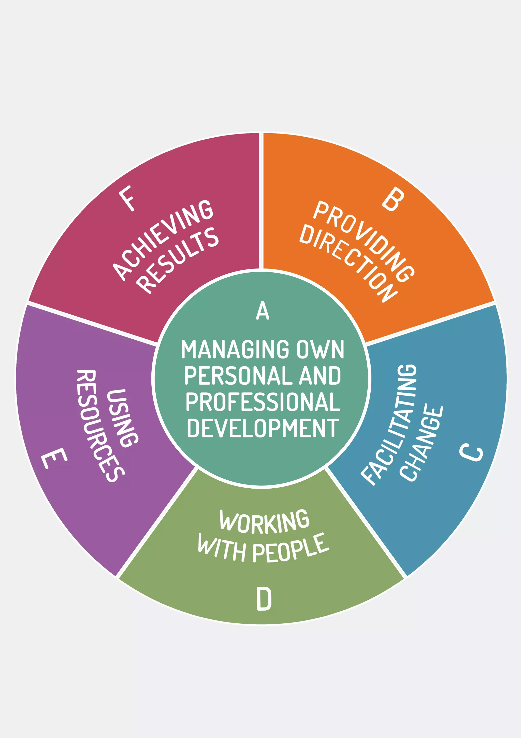 Managing your own personal and professional development | PDF