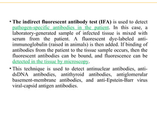Comprehensive Overview of Labeled Immunoassays in Clinical Diagnostics ...