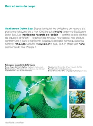 Bain et soins du corps
SeaSource Detox Spa® Depuis l’antiquité, les civilisations ont recours à la
puissance nettoyante de la mer. C’est ce qui a inspiré la gamme SeaSource
Detox Spa. Les ingrédients naturels de l’océan — comme les sels de mer,
les algues et le varech — regorgent de minéraux nourrissants. Nos produits
sont formulés à partir d’ingrédients botaniques d’origine marine qui aident à
nettoyer, rehausser, apaiser et revitaliser la peau tout en offrant une riche
expérience de spa. Plongez !
Principaux ingrédients botaniques
Extrait d’algue (Laminaria digitata) : Hydratant et antioxydant
Spirulina maxima : Microalgue riche en vitamines, en protéines et
en acides aminés ; pour un effet restaurateur
Algue marine : Reminéralise de façon naturelle et exfolie
Fenouil marin : Hydratant pour la peau
Extrait d’huile d’olive (Olea europaea) : Hydratant pour la peau
1.888.ARBONNE ARBONNE.CA
 