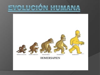 Evolucion Humana Guillermo Andrés Quijije Andrade 1"A"