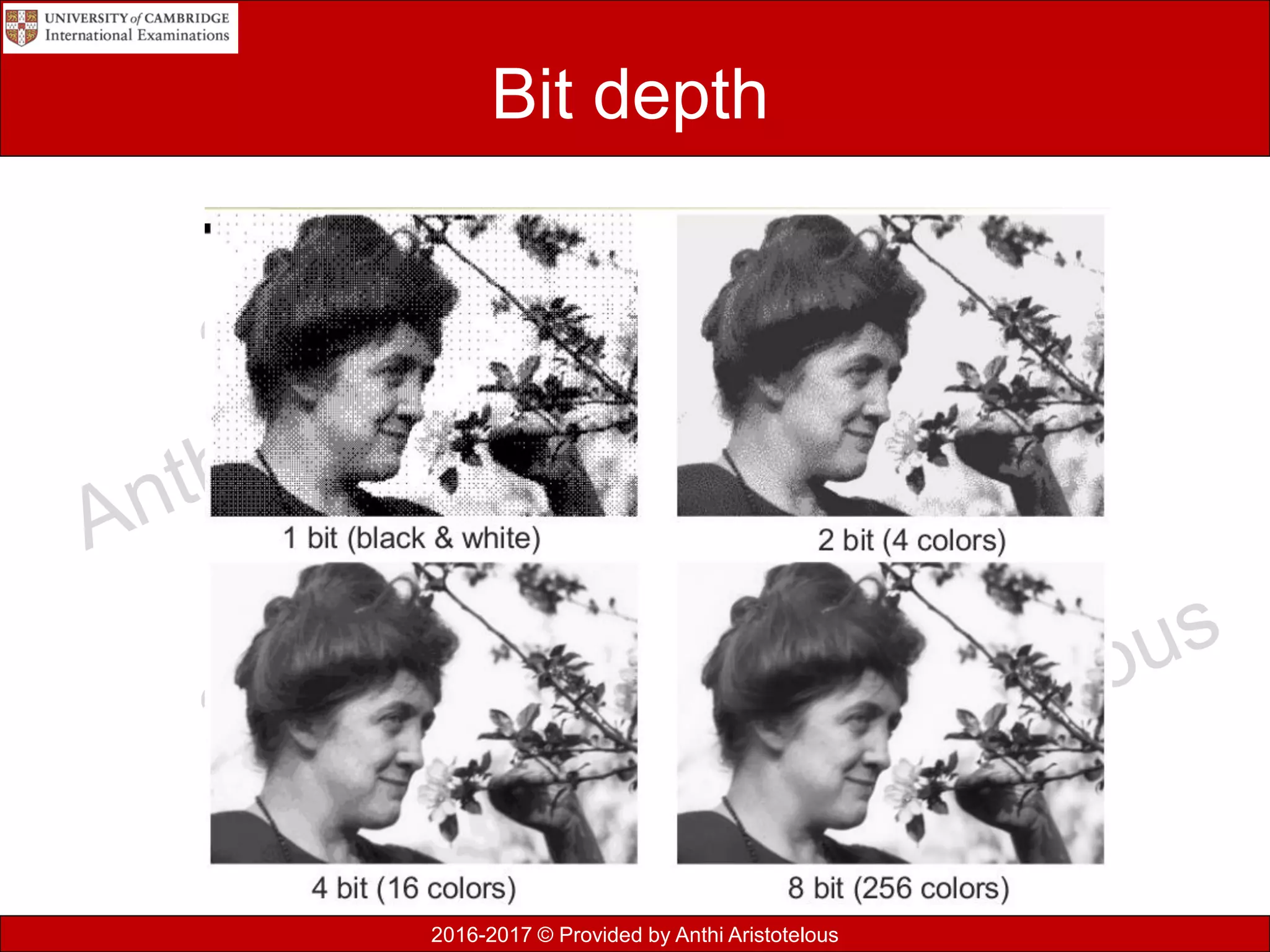 2016-2017 © Provided by Anthi Aristotelous
Bit depth
 